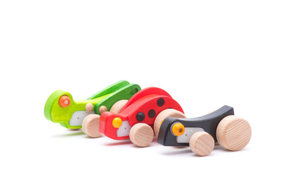 Drewniana cykada - BAJO