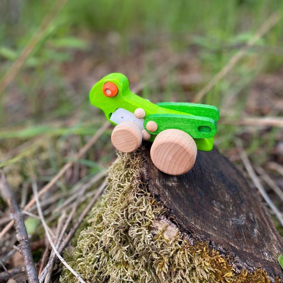 Drewniana cykada - BAJO