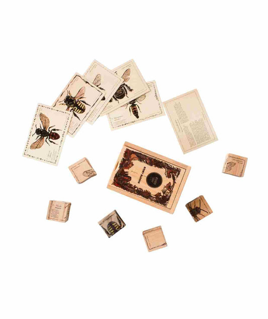 Drewniane Klocki Życie Pszczoły Gatunki